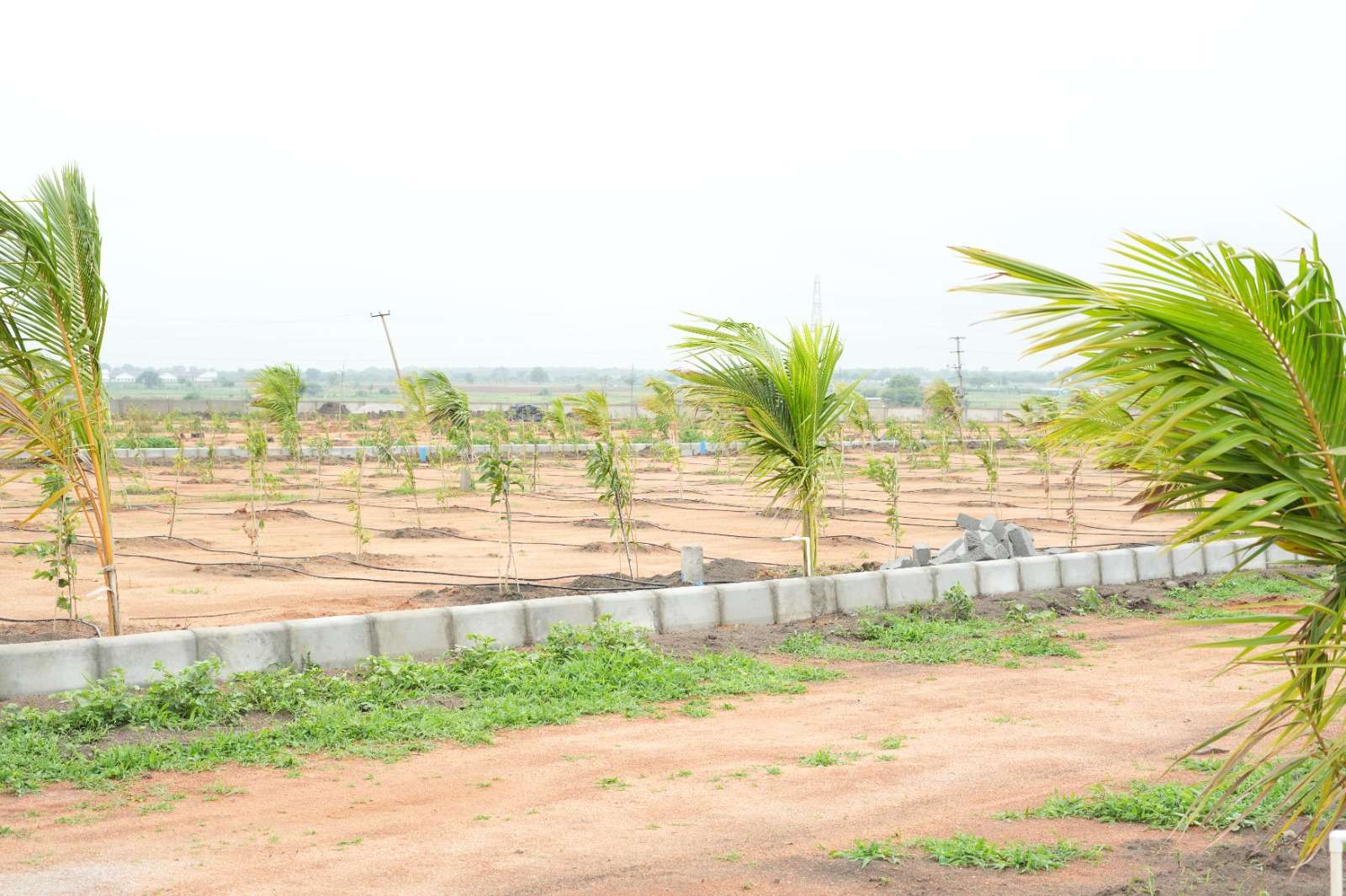 Farm Plots For Sale in Hyderabad