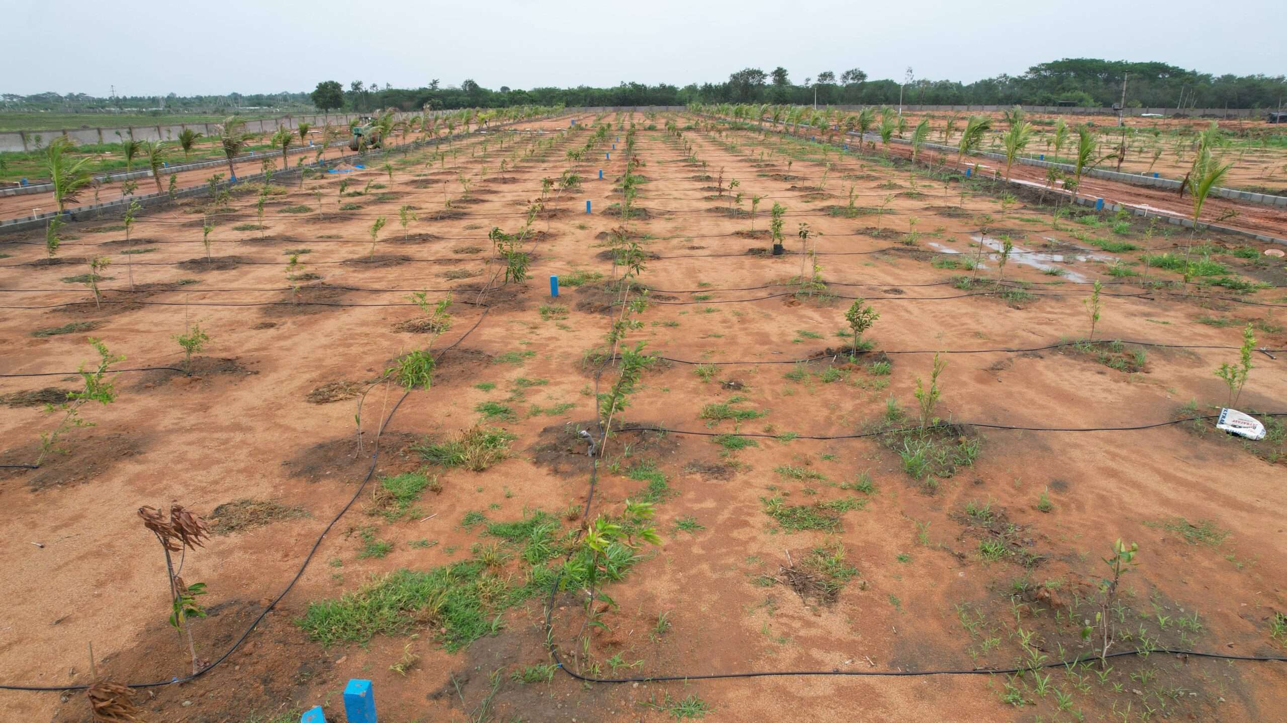 Farm Lands in Hyderabad